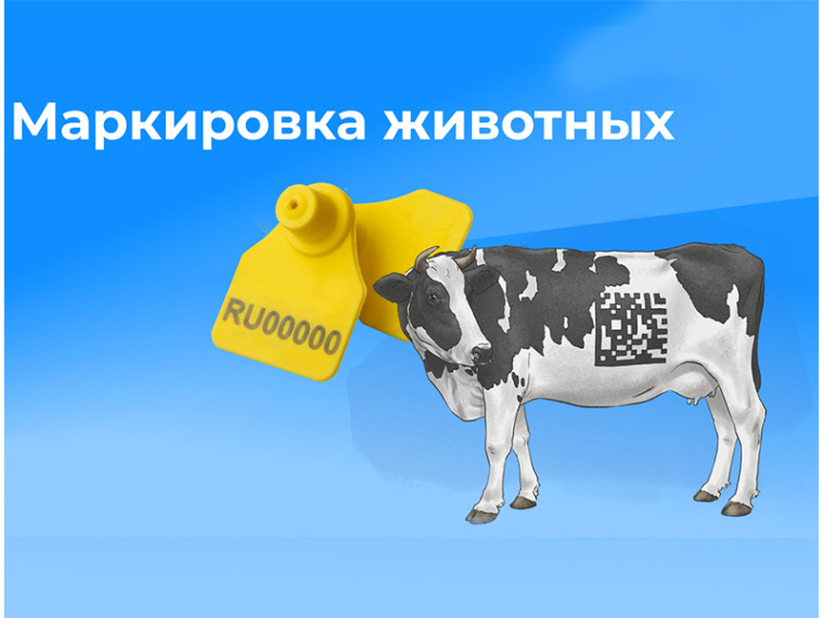 Сельхозживотных нужно маркировать в обязательном порядке. Сельхозживотных нужно маркировать в обязательном порядке.