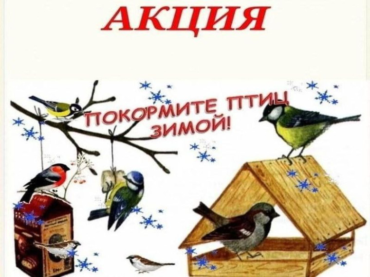 Всероссийская экологическая акция "Покормите птиц зимой" . Всероссийская экологическая акция "Покормите птиц зимой" .